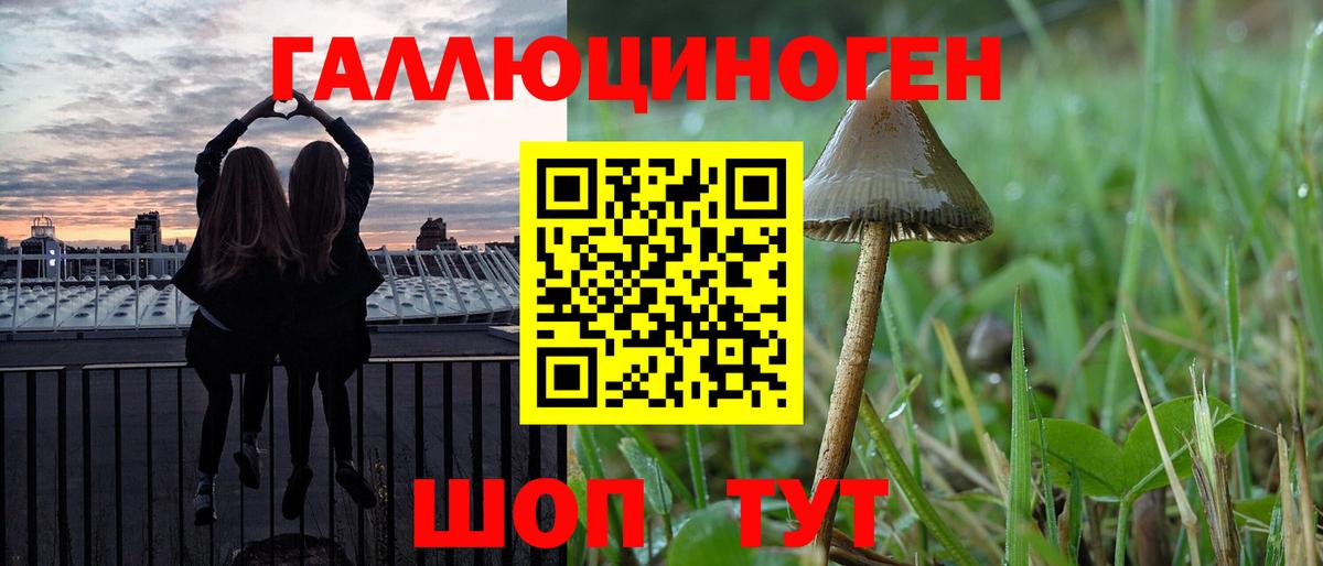 Красноармейск  Галлюциногенные грибы Psilocybe  цена наркотик  Вход с VPN 